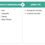 Veterinary API Market - 1