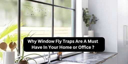 Why Window Fly Traps Are A Must Have In Your Home or Office ?
