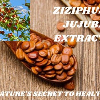 Ziziphus-Jujuba-Extract-1