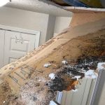 rsz_a_piece_of_drywall_shows_evidence_of_mold_at_a_residence