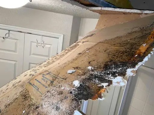 rsz_a_piece_of_drywall_shows_evidence_of_mold_at_a_residence