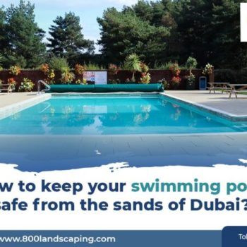 swimming-pool-services-870x446