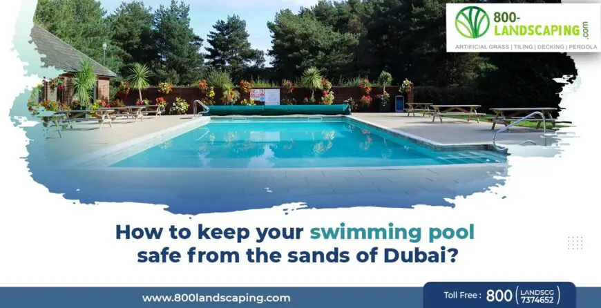 swimming-pool-services-870x446