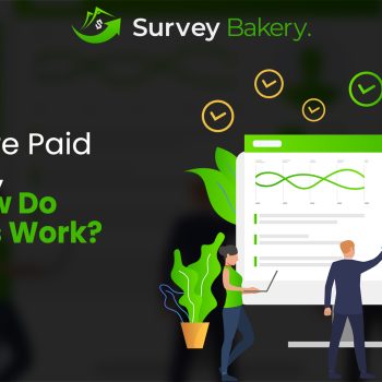 what are paid surveys