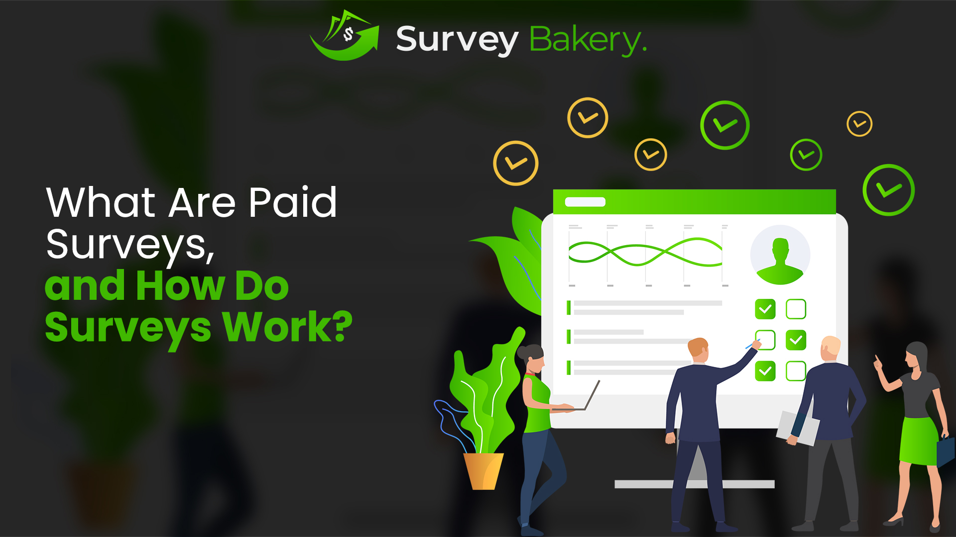 what are paid surveys