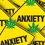 wholesalebud for anxiety