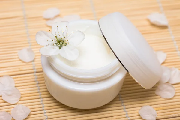 Anti-Aging Skincare Cream Manufacturing Plant