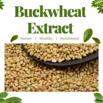Buckwheat-Extract