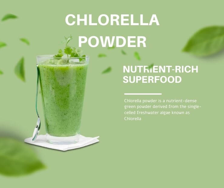 Chlorella-Powder