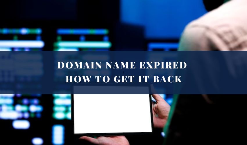 Domain Name Expired How To Get It Back