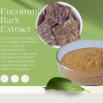 Eucommia-Bark-Extract