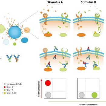 Flow Cytometry Market