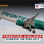 Frontier Airlines Check In (1)