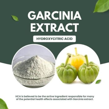 Garcinia-Extract