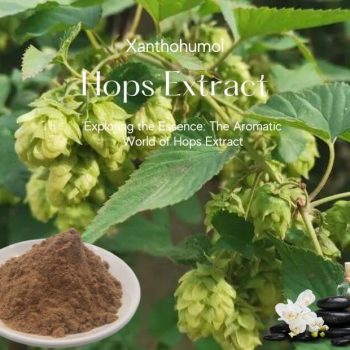 Hops-Extract