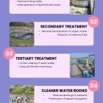 How Sewage Treatment Benefits the Environment 16 December