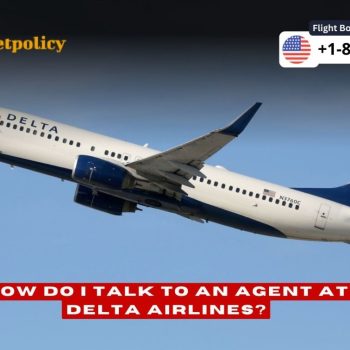 How do i talk to an agent at delta airlines customer service