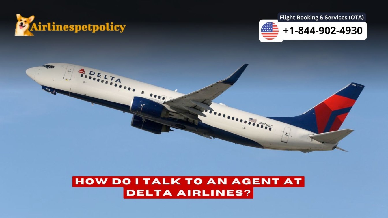 How do i talk to an agent at delta airlines customer service