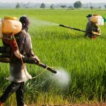 Indian Pesticides Market