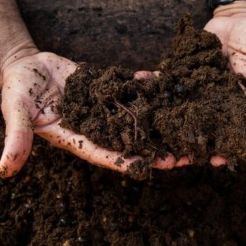 Organic Manure Manufacturing Plant