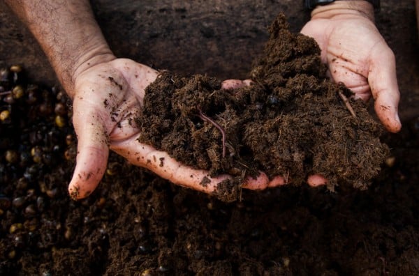 Organic Manure Manufacturing Plant