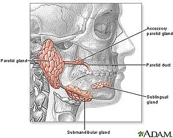 Parotidectomy