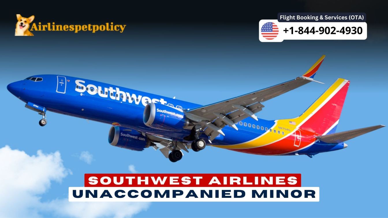 Southwest Airlines Unaccompanied Minor