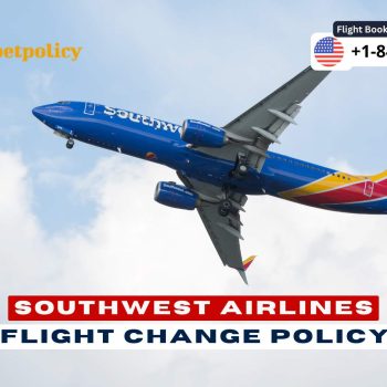 Southwest Change Flight