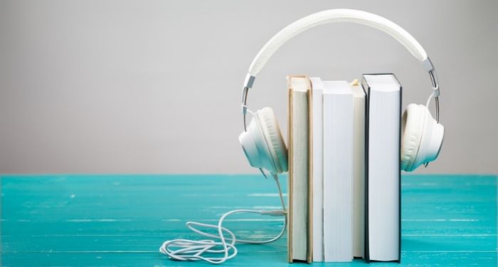 The Voice of Success Audiobook Narration Essentials for Authors