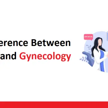 What is the Major Difference Between Obstetrics and Gynecology