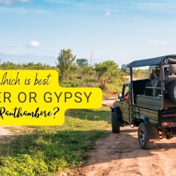 Which is best Canter or Gypsy in Ranthambore