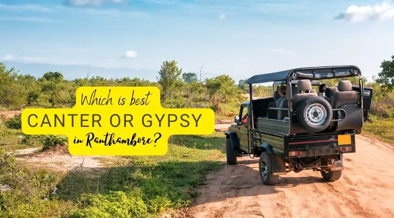Which is best Canter or Gypsy in Ranthambore
