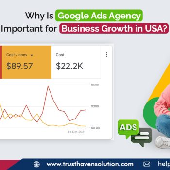 Why Is Google Ads Agency Important for Business Growth in USA - trust haven solution
