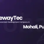 WisewayTec - The Best Blockchain Development Company in Mohali, Punjab  (1) (1) (1)