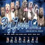 biggeminikennels