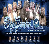 biggeminikennels