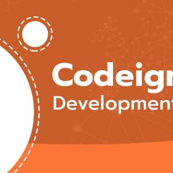 codeigniter-development-service