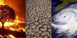 global climate change