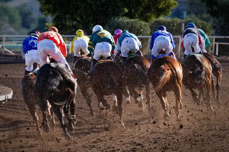 jockeys in a horse race