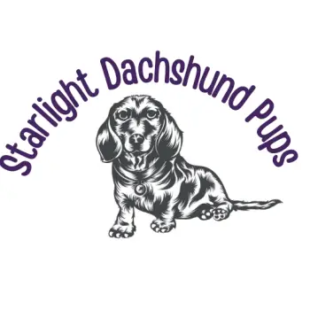 stardachshunds logo
