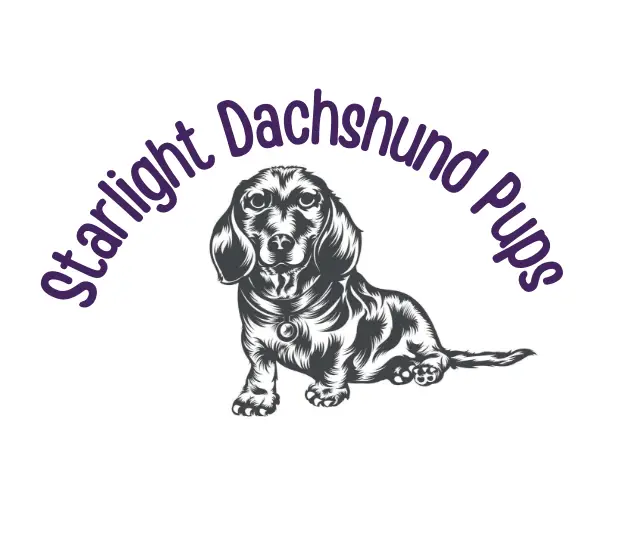 stardachshunds logo