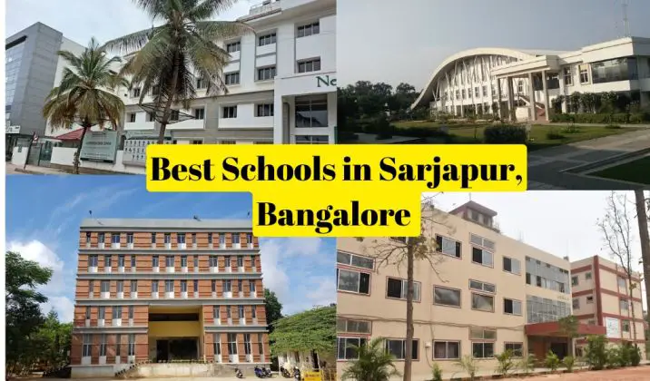 Best Schools In Sarjapur Bangalore 1 