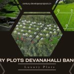 Century Plots