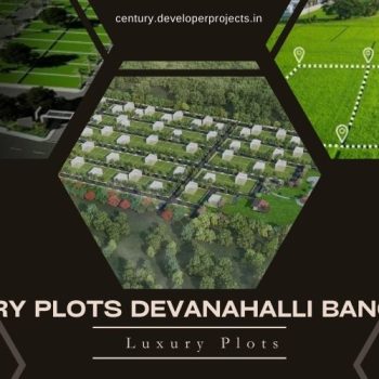 Century Plots