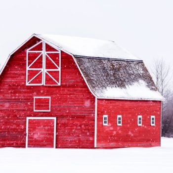 Common Myths and Misconceptions About Barn Painting