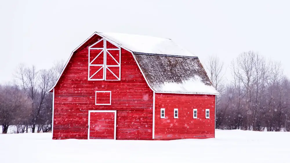 Common Myths and Misconceptions About Barn Painting