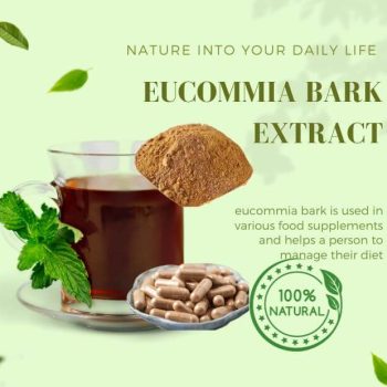 Eucommia Extract