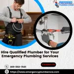 Hire Qualified Plumber for Your Emergency Plumbing Services (1)