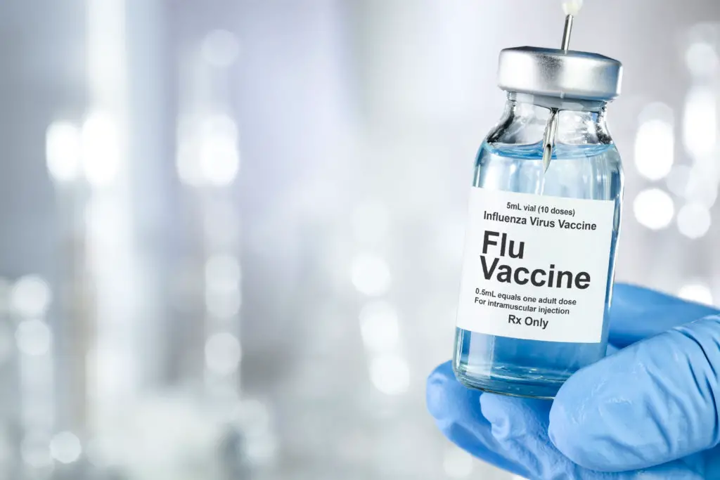 Influenza Vaccine Market