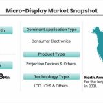 Micro-Display Market Snapshot_11525